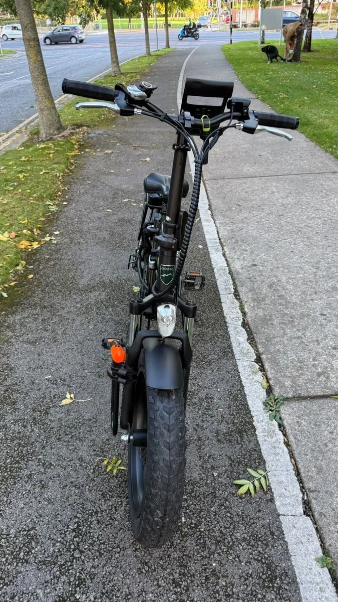 Electric Bike - Image 2