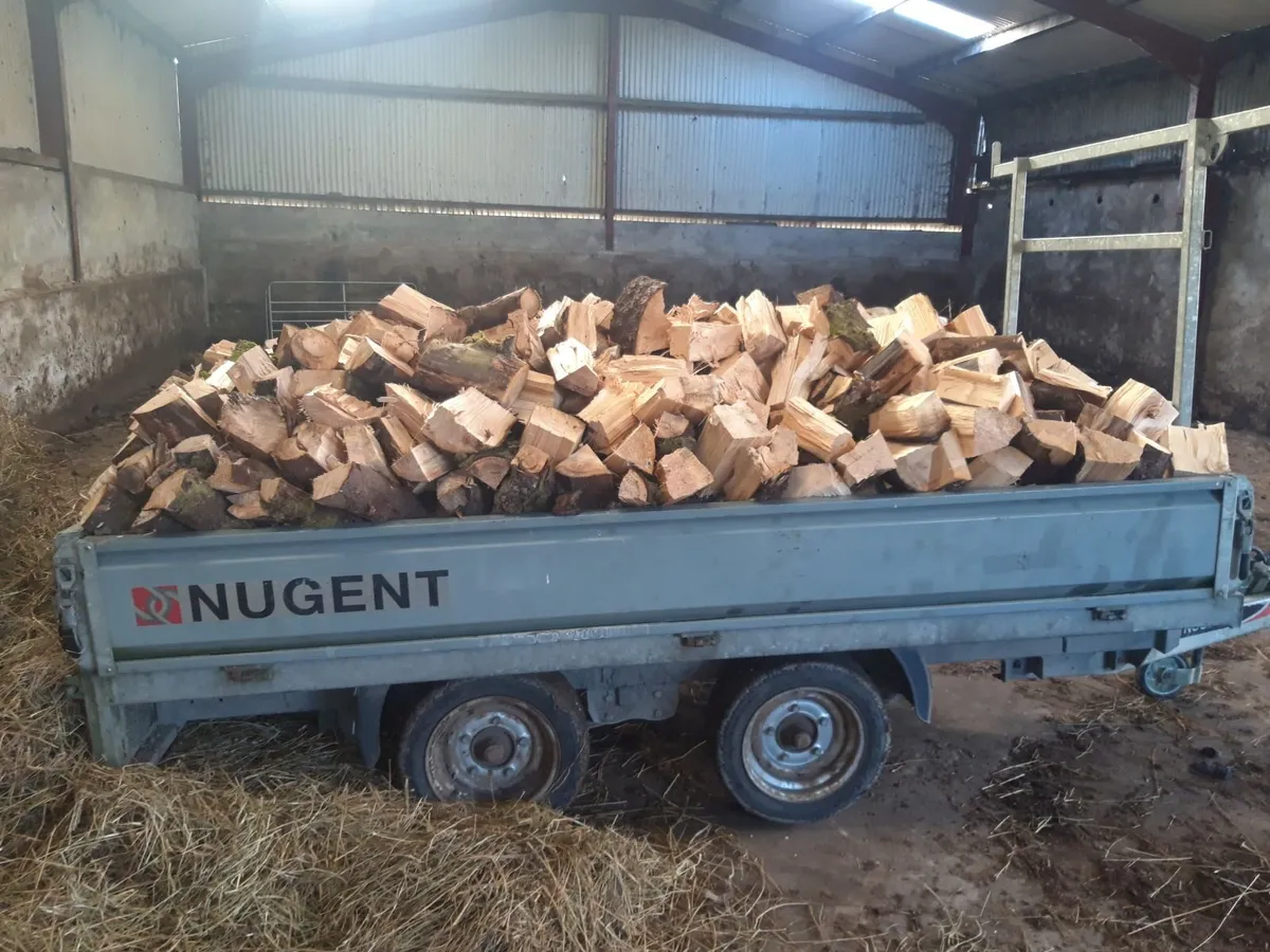 🔥Firewood🔥