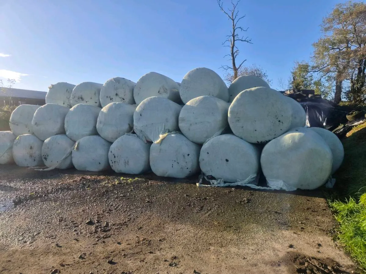 Silage - Image 1