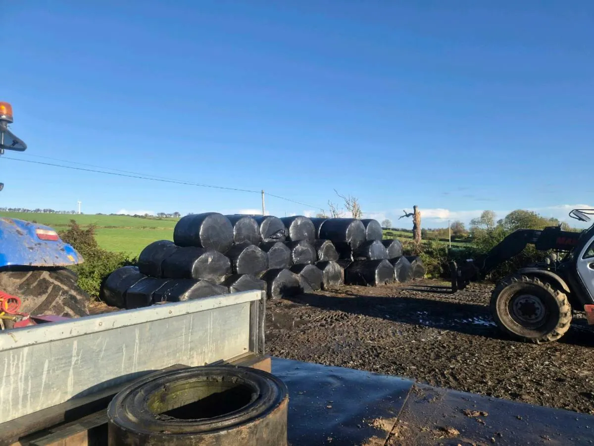 Silage - Image 2