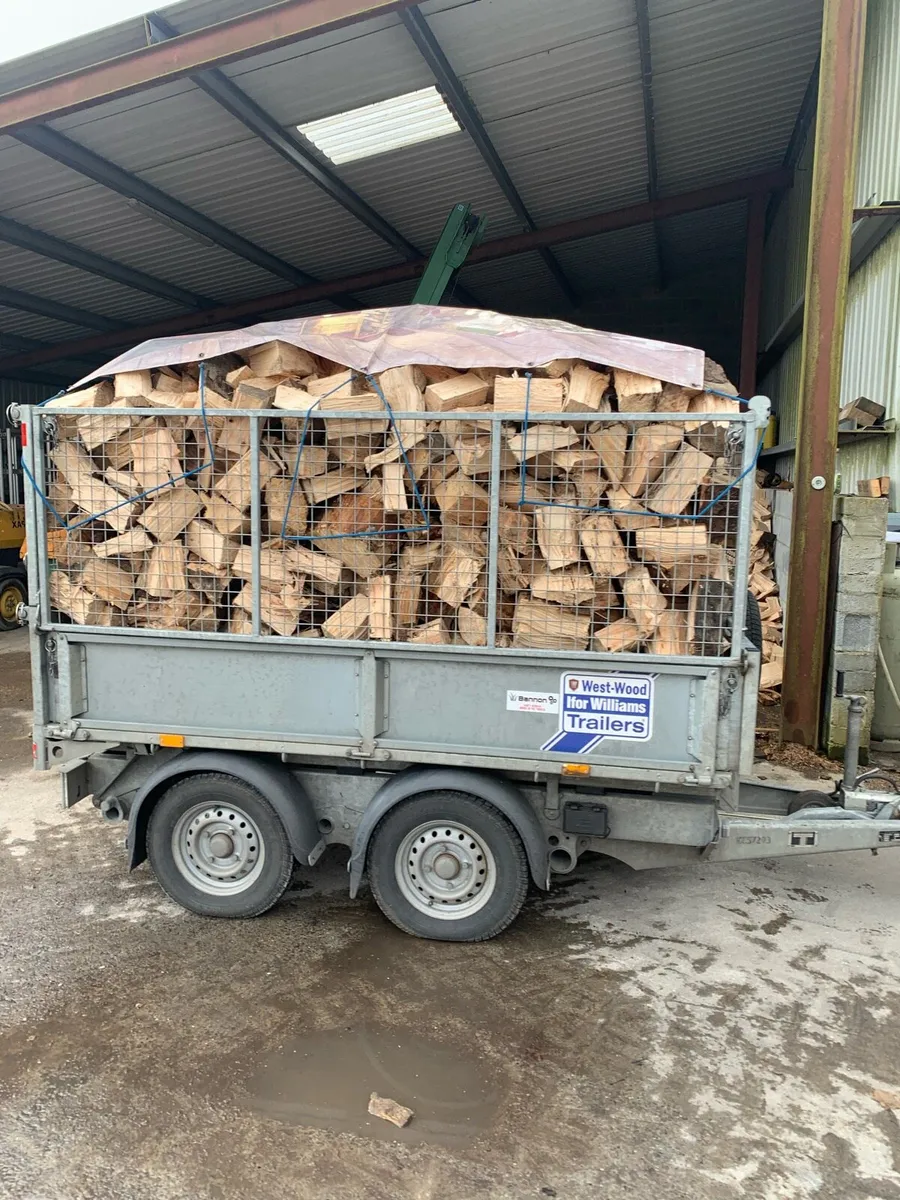 Seasoned firewood for sale - Image 1