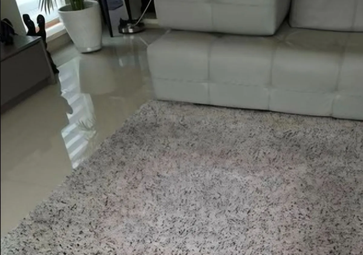Rug - Image 1