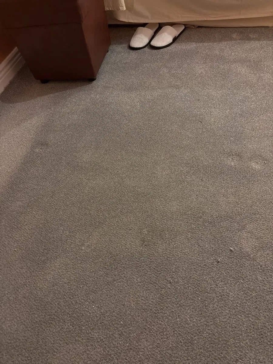 carpet - Image 2