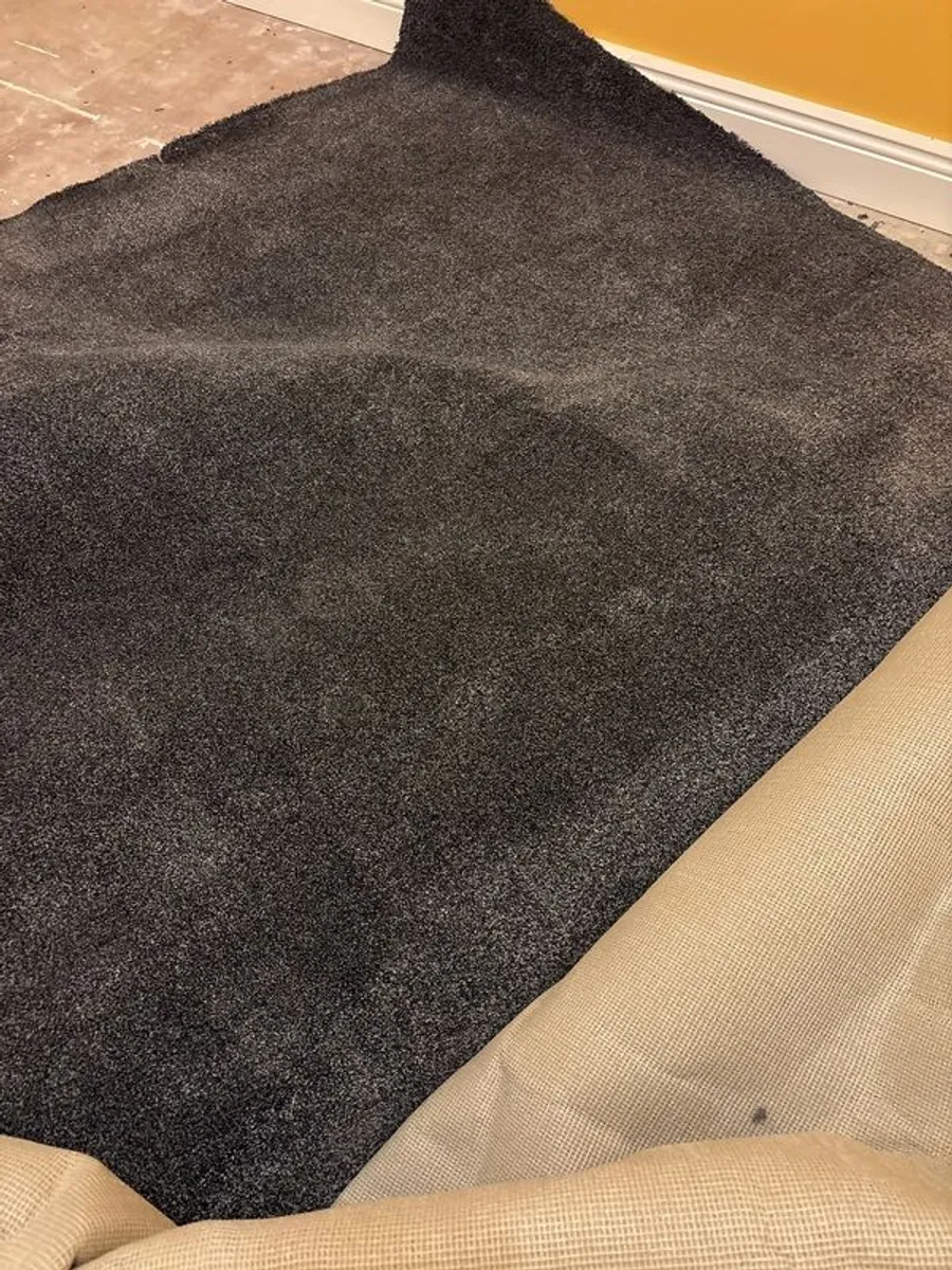 carpet - Image 1