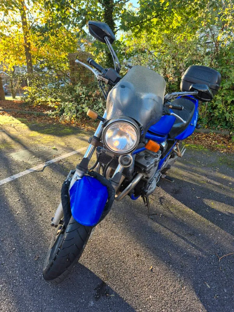 Suzuki bandit - Image 4