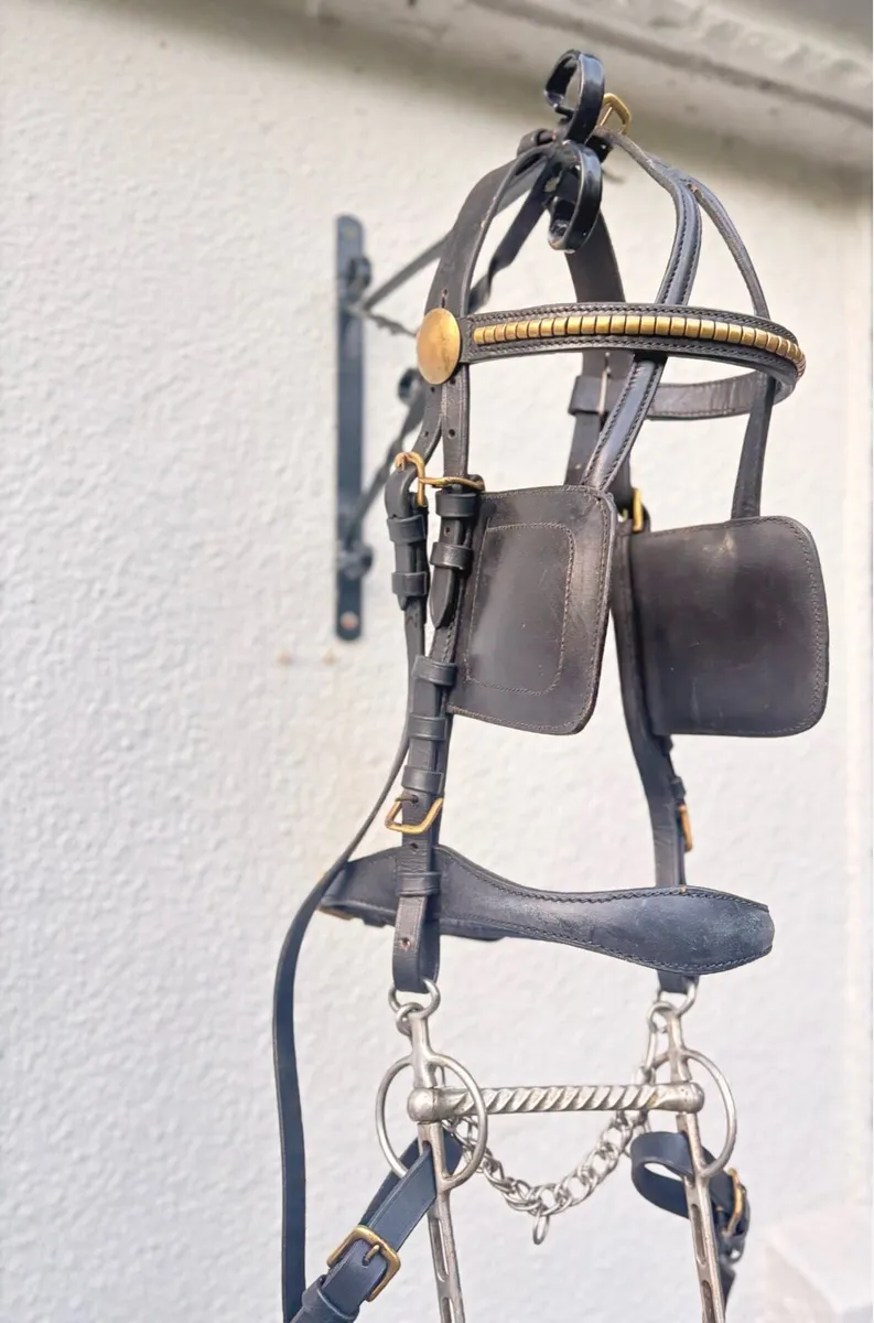 Sulky equipment - Image 2