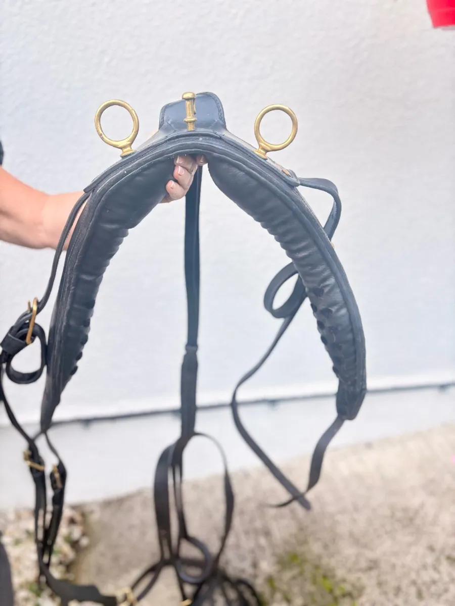 Sulky equipment - Image 3