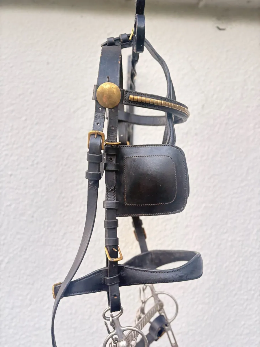 Sulky equipment - Image 1
