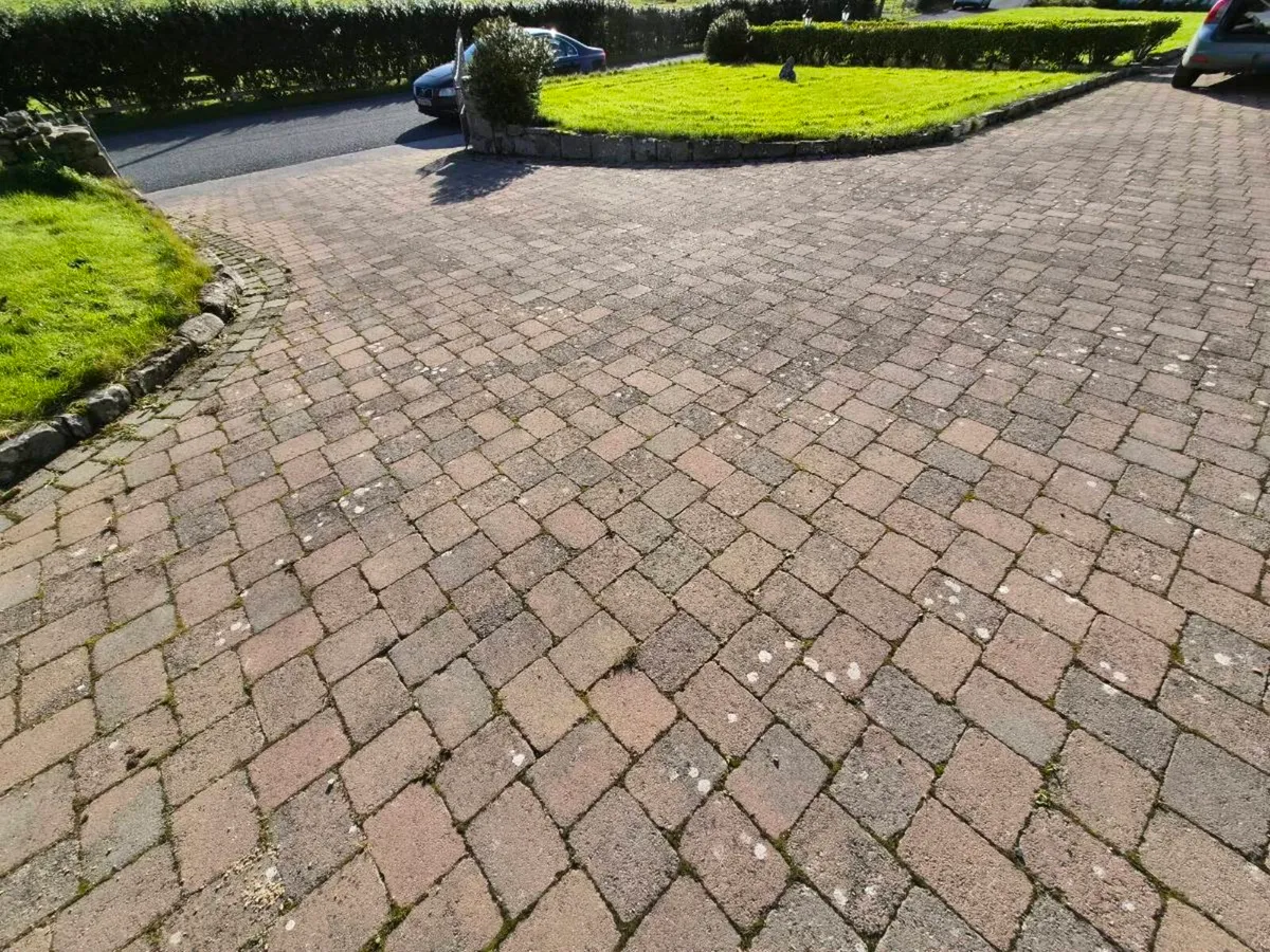 Paving Bricks for sale - Image 3