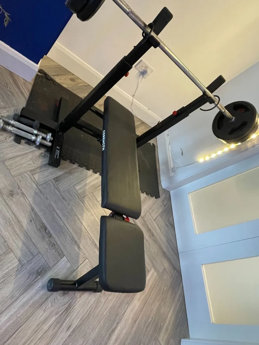 Tiltable & Collapsible Weights Bench - Image 2