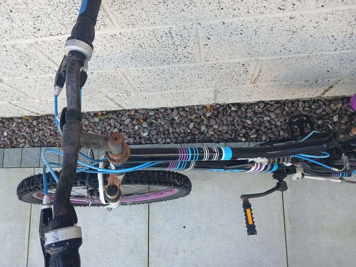 Apollo Bicycle - Image 3