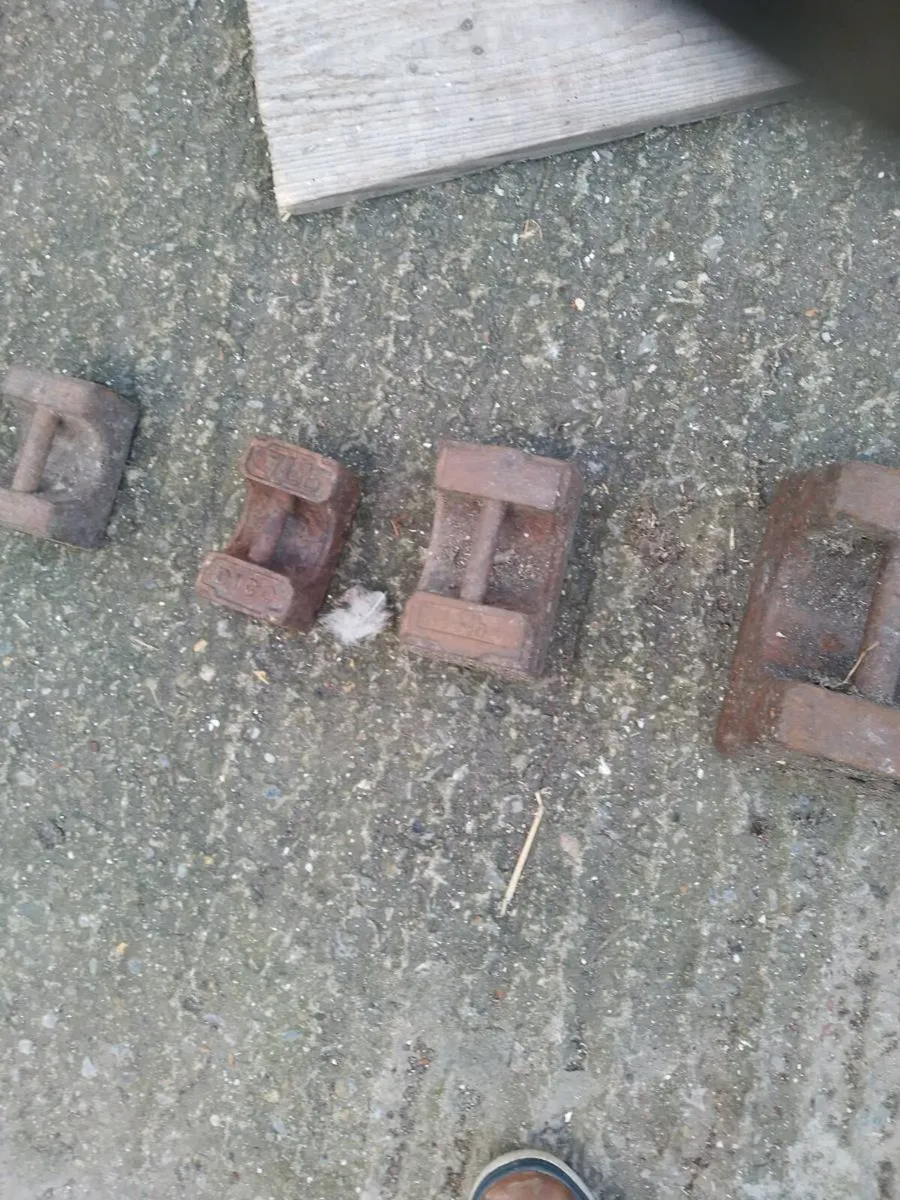 Cast iron weights - Image 4