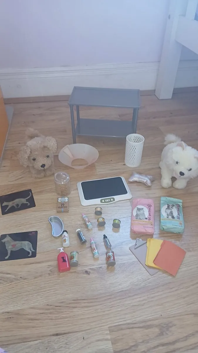 Our Generation Healthy Paws Veterinary Clinic. - Image 4