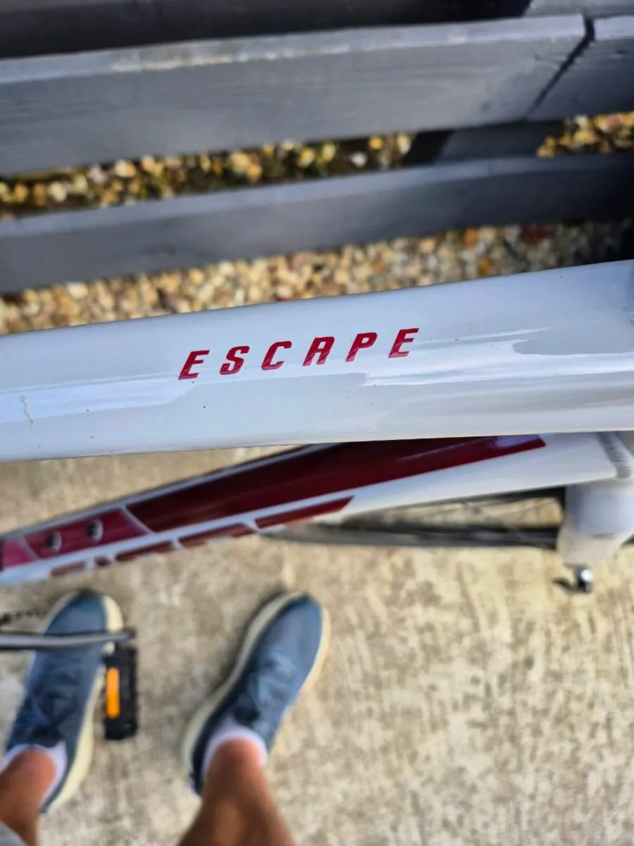 Giant Escape hybrid Bike. - Image 2