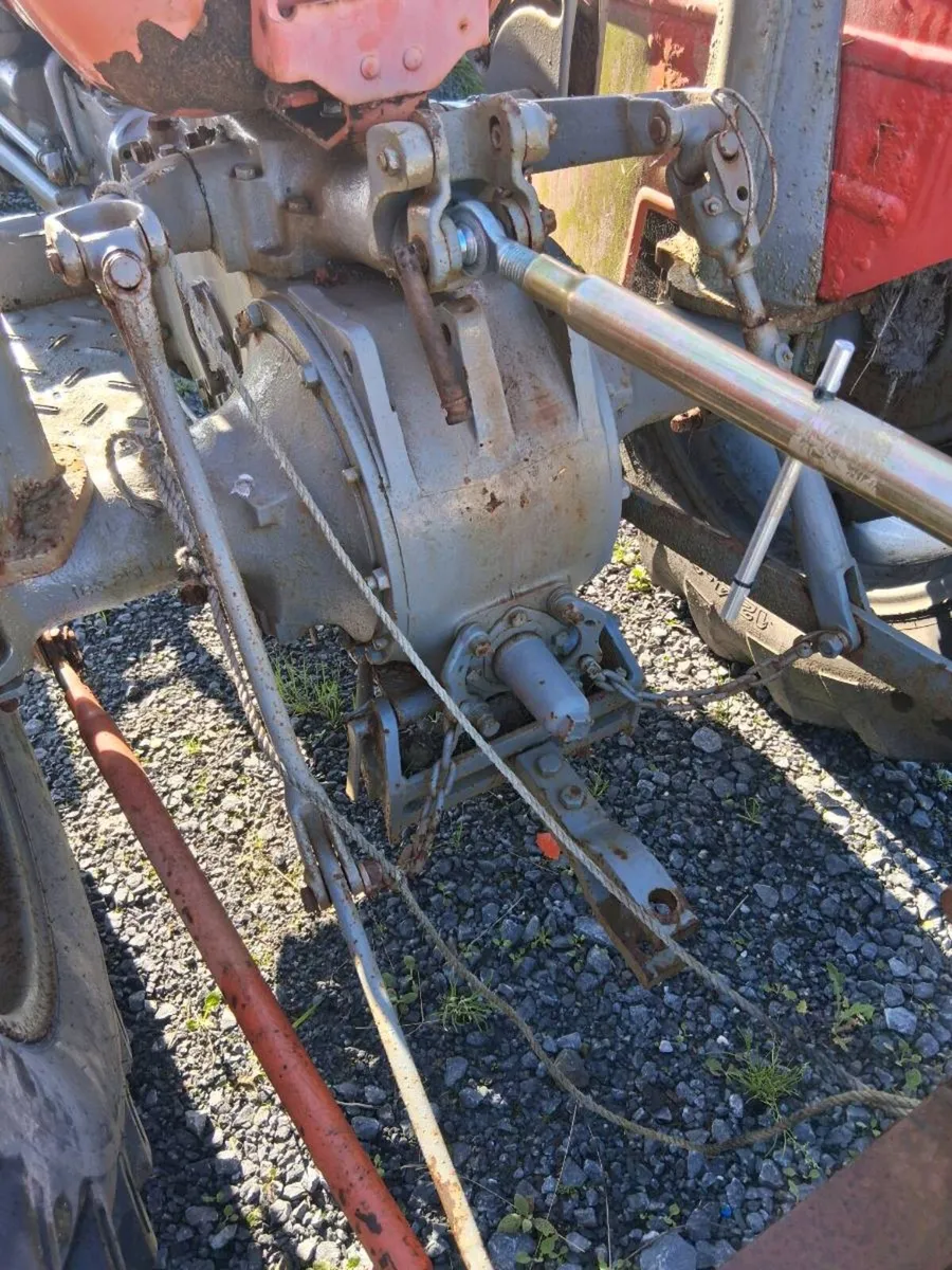 Mf135 - Image 2