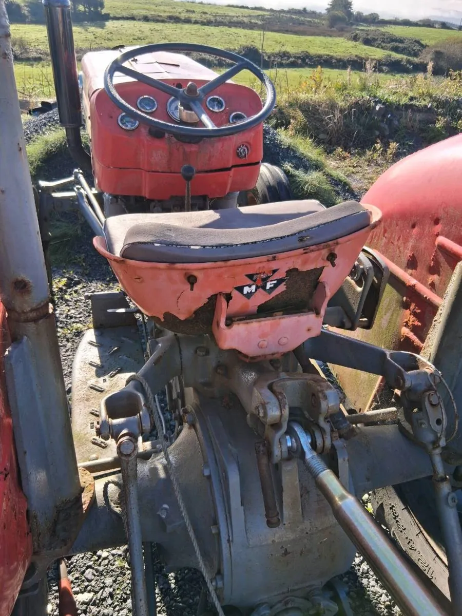 Mf135 - Image 3