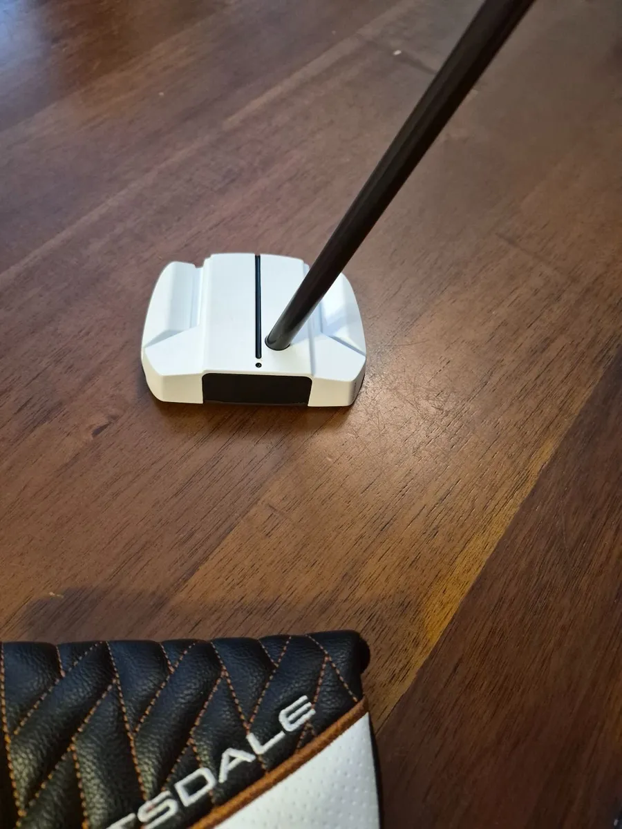 Ping Ally blue onset putter - Image 1