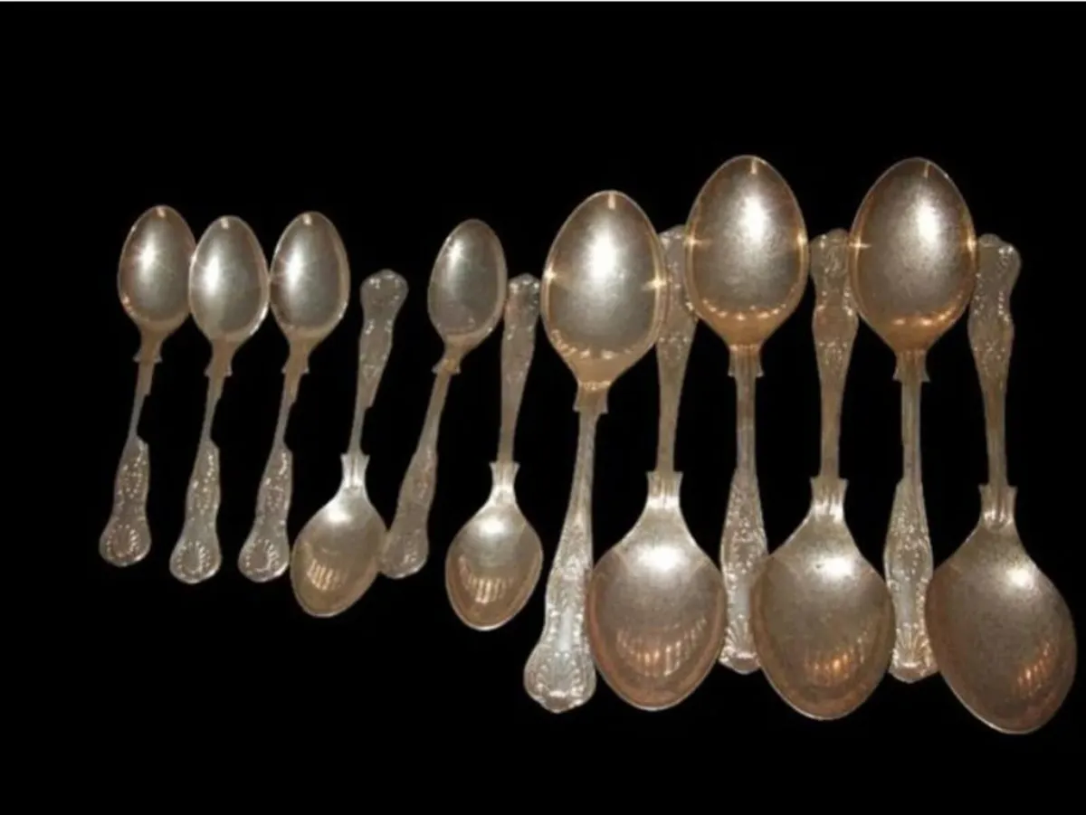 Pristine Unused Newbridge Silverware 24-Piece - Image 2