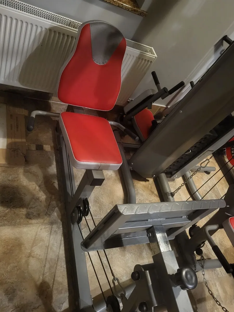 BH Total Gym with leg press - Image 2