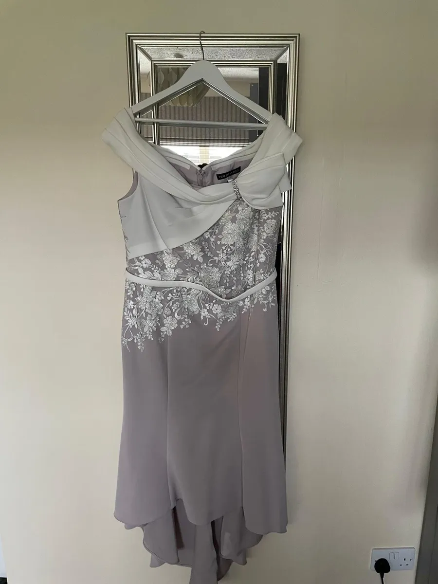 Mother of the Bride Dress - Image 1