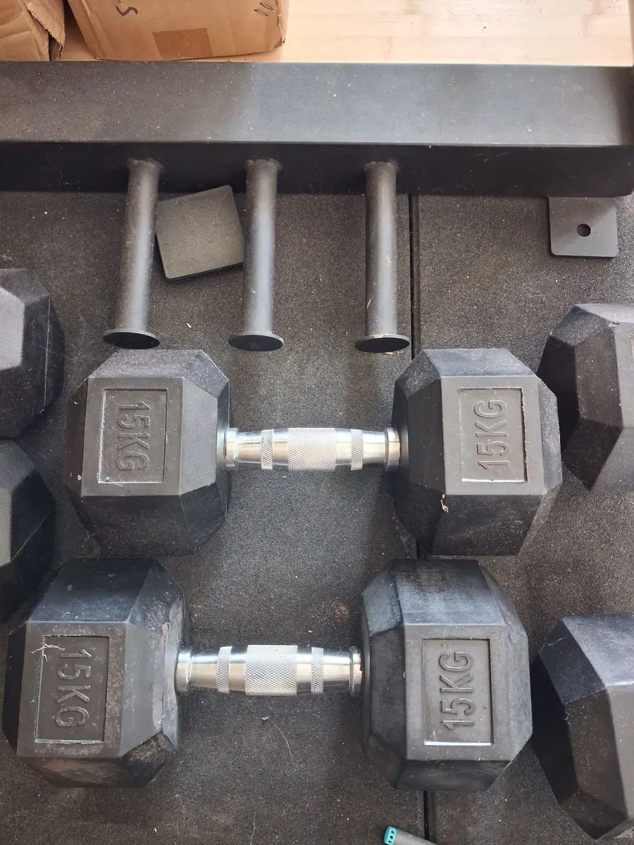 Hex Dumbbells - Image 1
