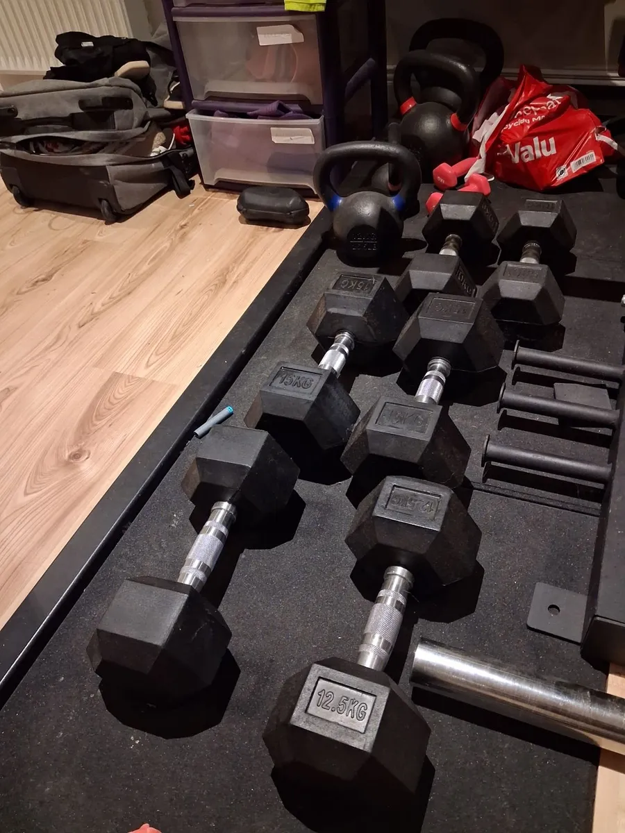 Hex Dumbbells - Image 3
