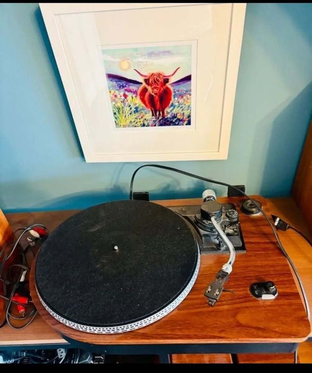 Steepletone wooden turntable, brand new needle, selling as speakers don't work anymore, i bought connectors, maybe i haven't cut the wires enough, everything else works fine, I'll supply the connectors so all it needs is speakers - Image 1