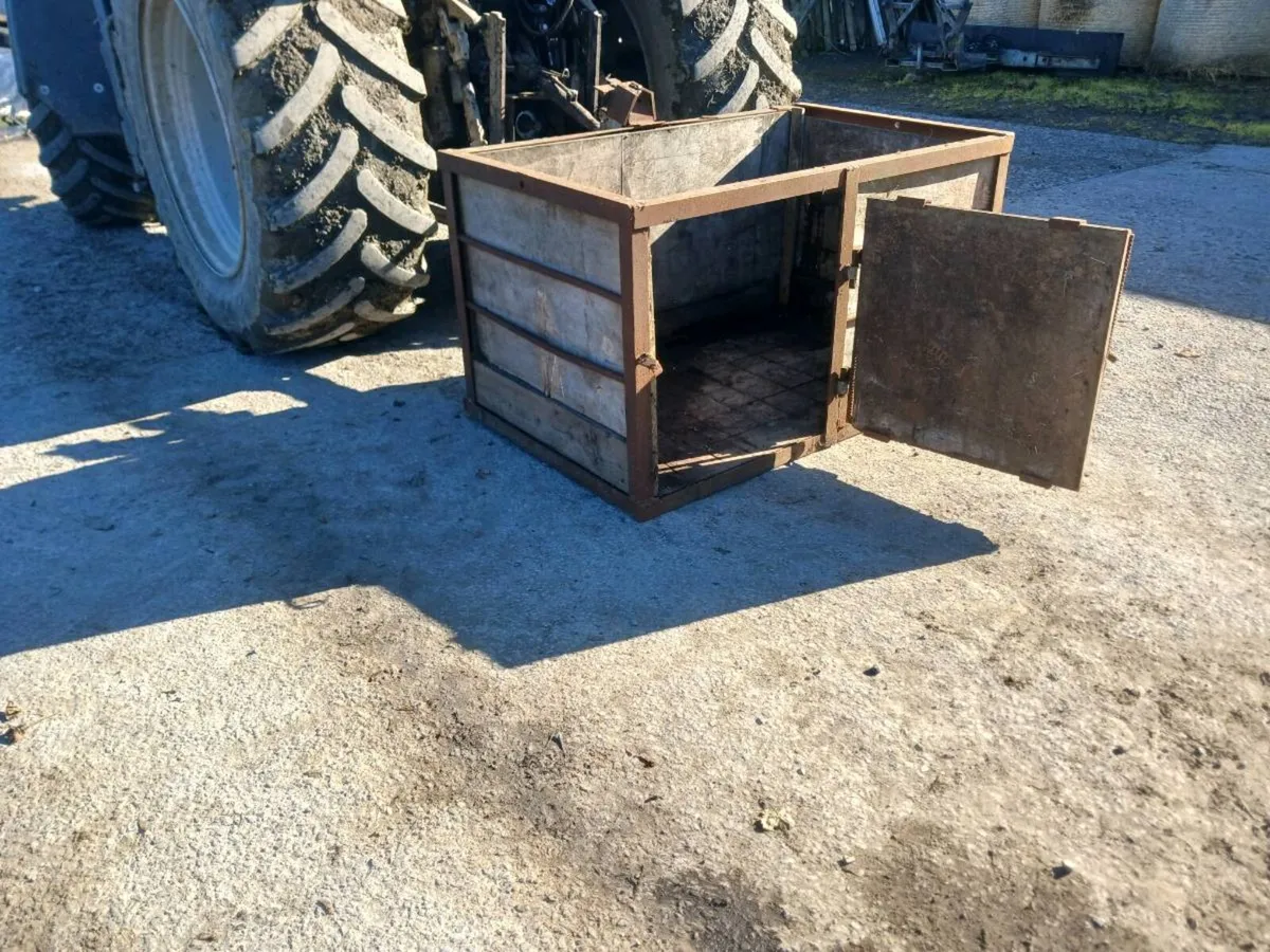Calf Crate and Calf Feeders - Image 2