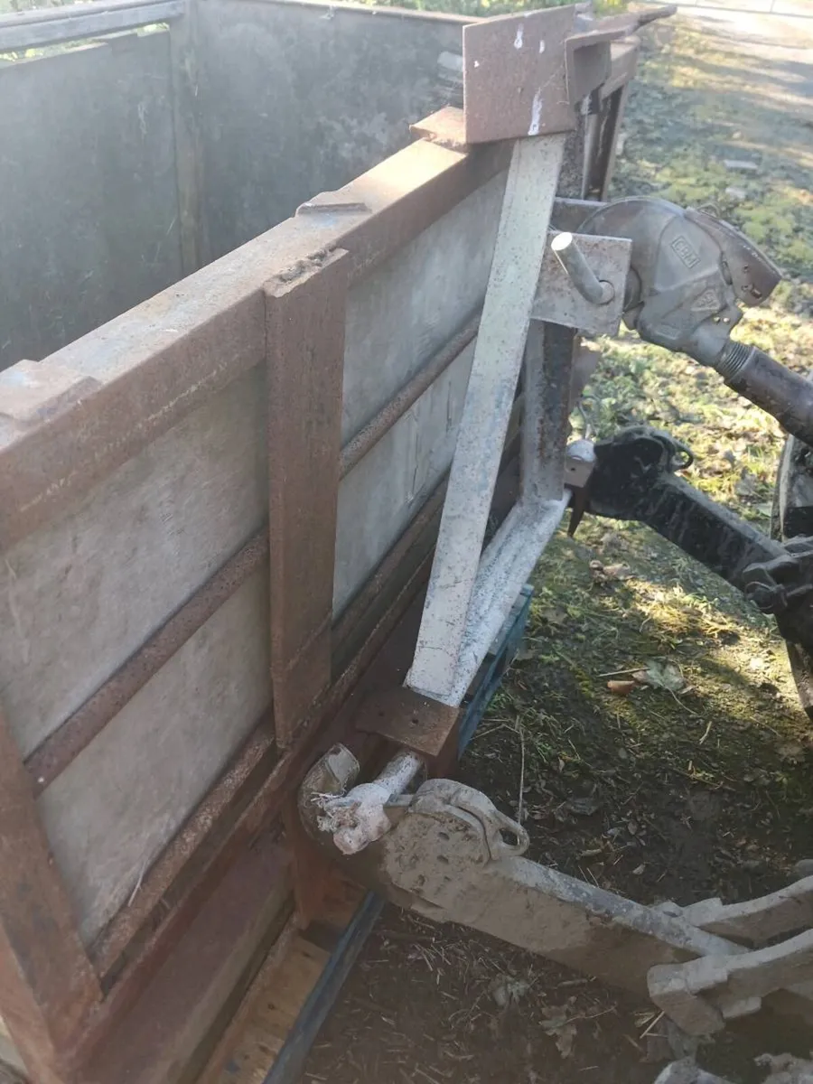 Calf Crate and Calf Feeders - Image 3
