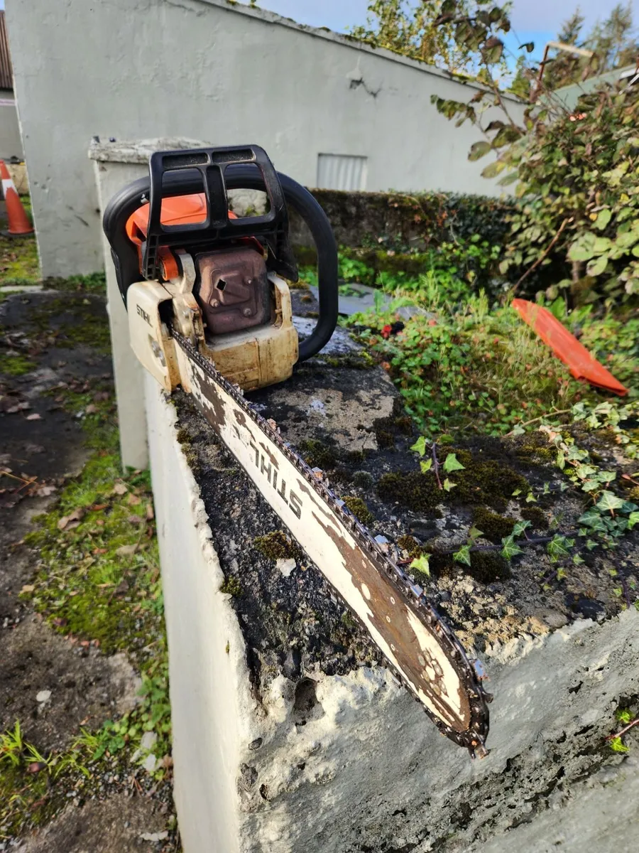 Chainsaw - Image 3