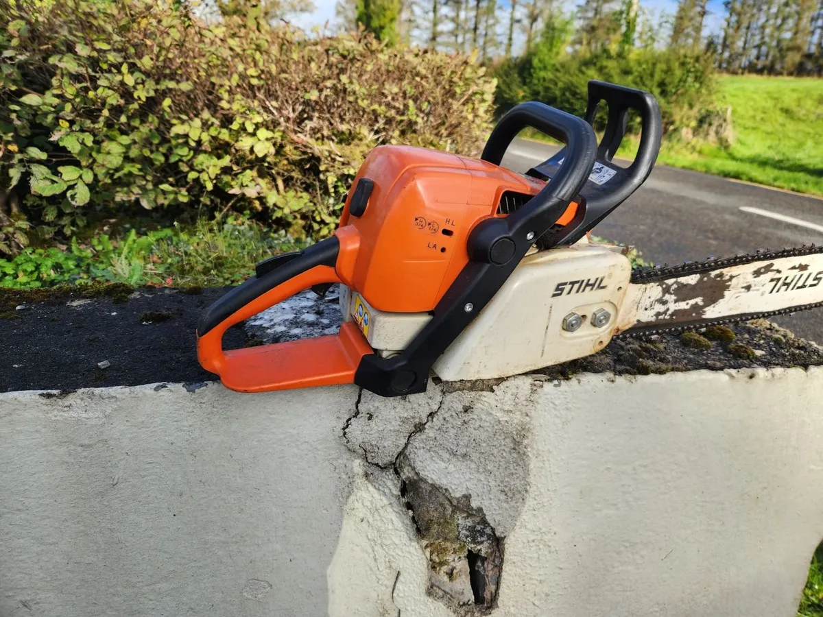 Chainsaw - Image 4