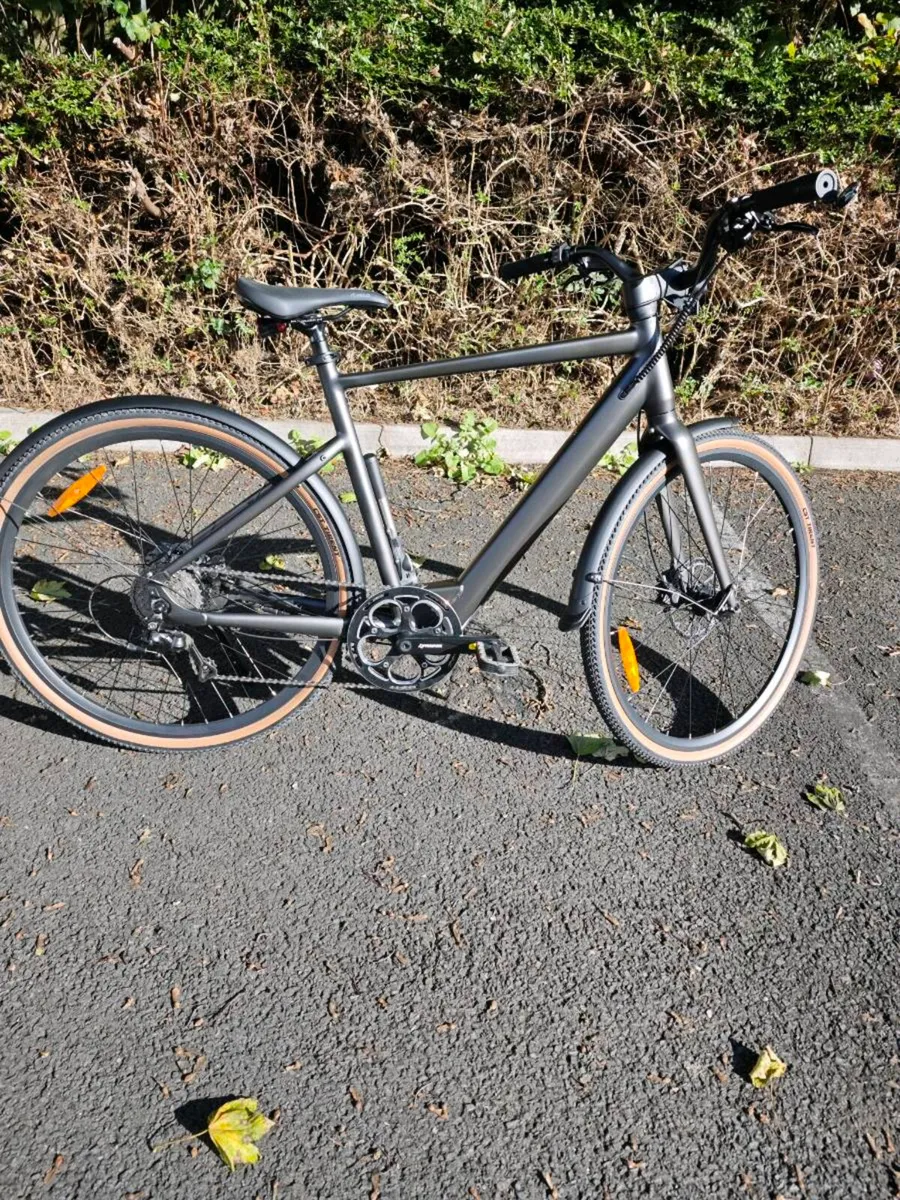 Fiido bicycle - Image 1