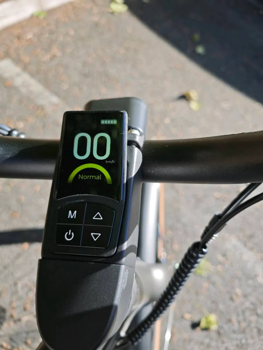 Fiido bicycle - Image 4