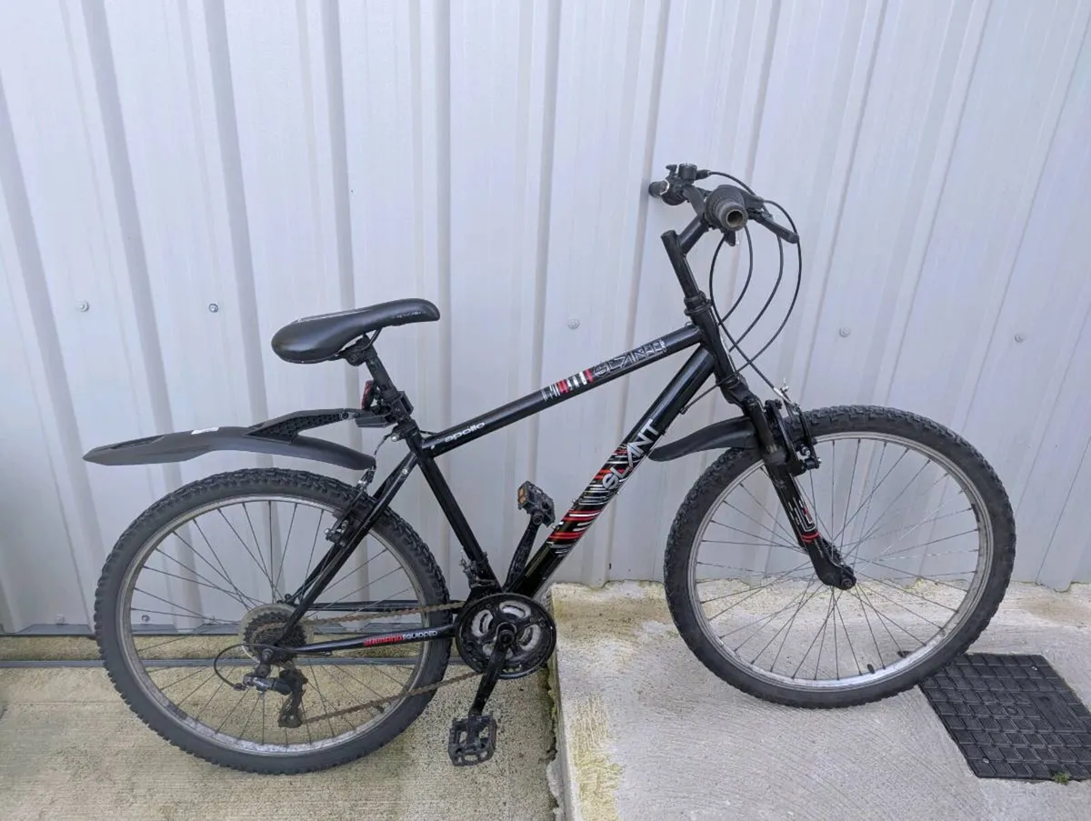 Bicycle - Image 1