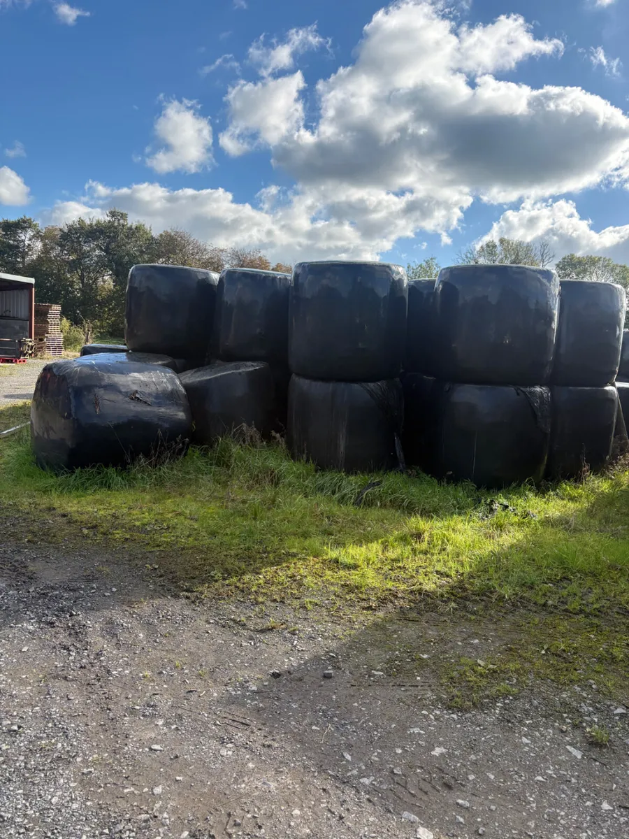 Silage - Image 1