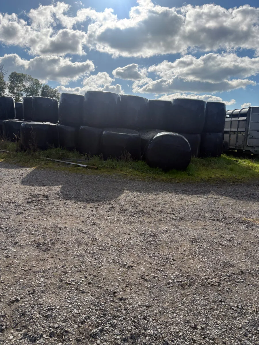 Silage - Image 3