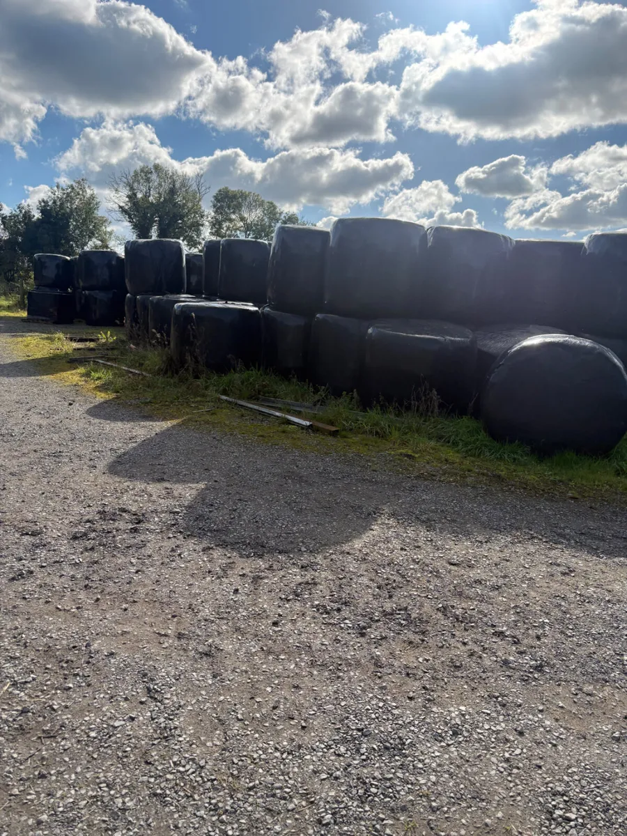 Silage - Image 2