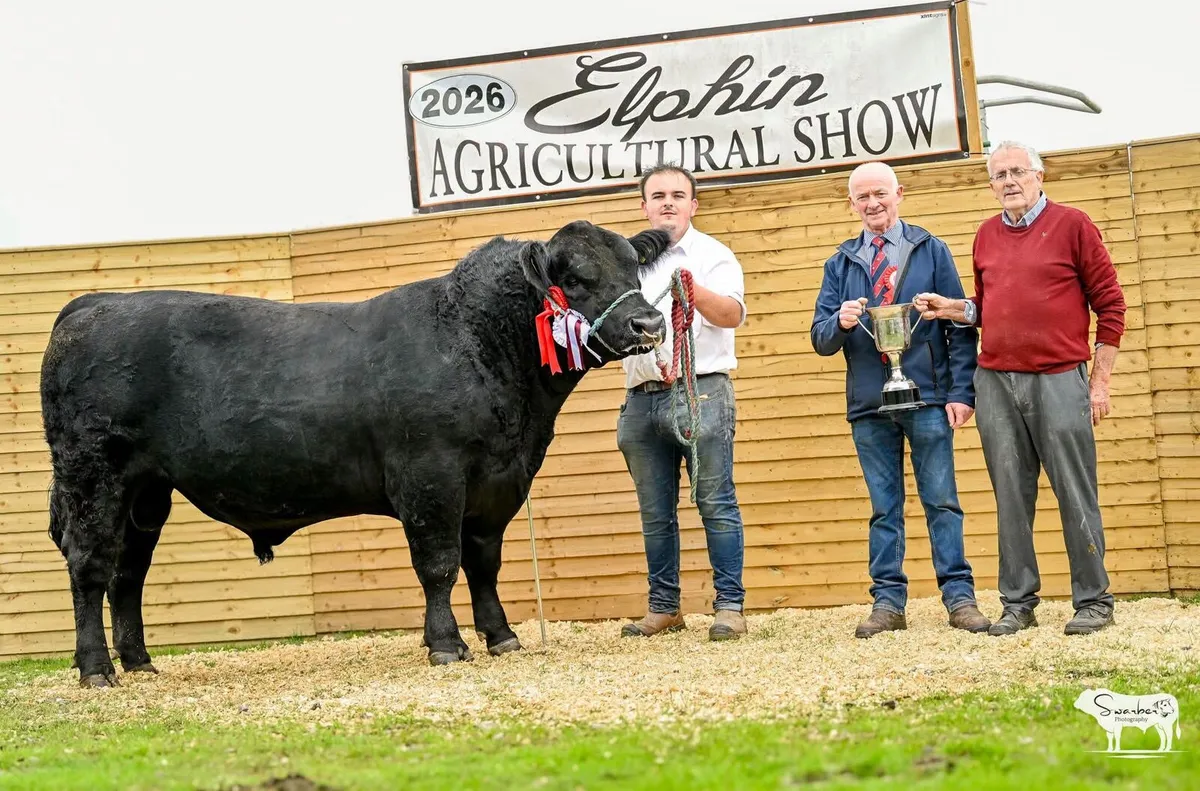 Lot 5 Carrick on Shannon Centenary sale - Image 1