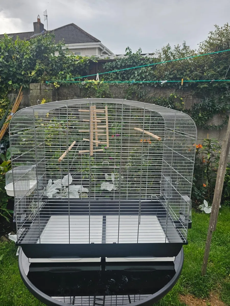 New budgie cage - Image 1