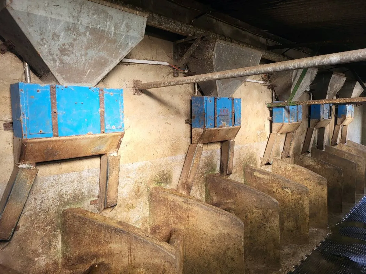 Cashman Air Feeders - Image 4