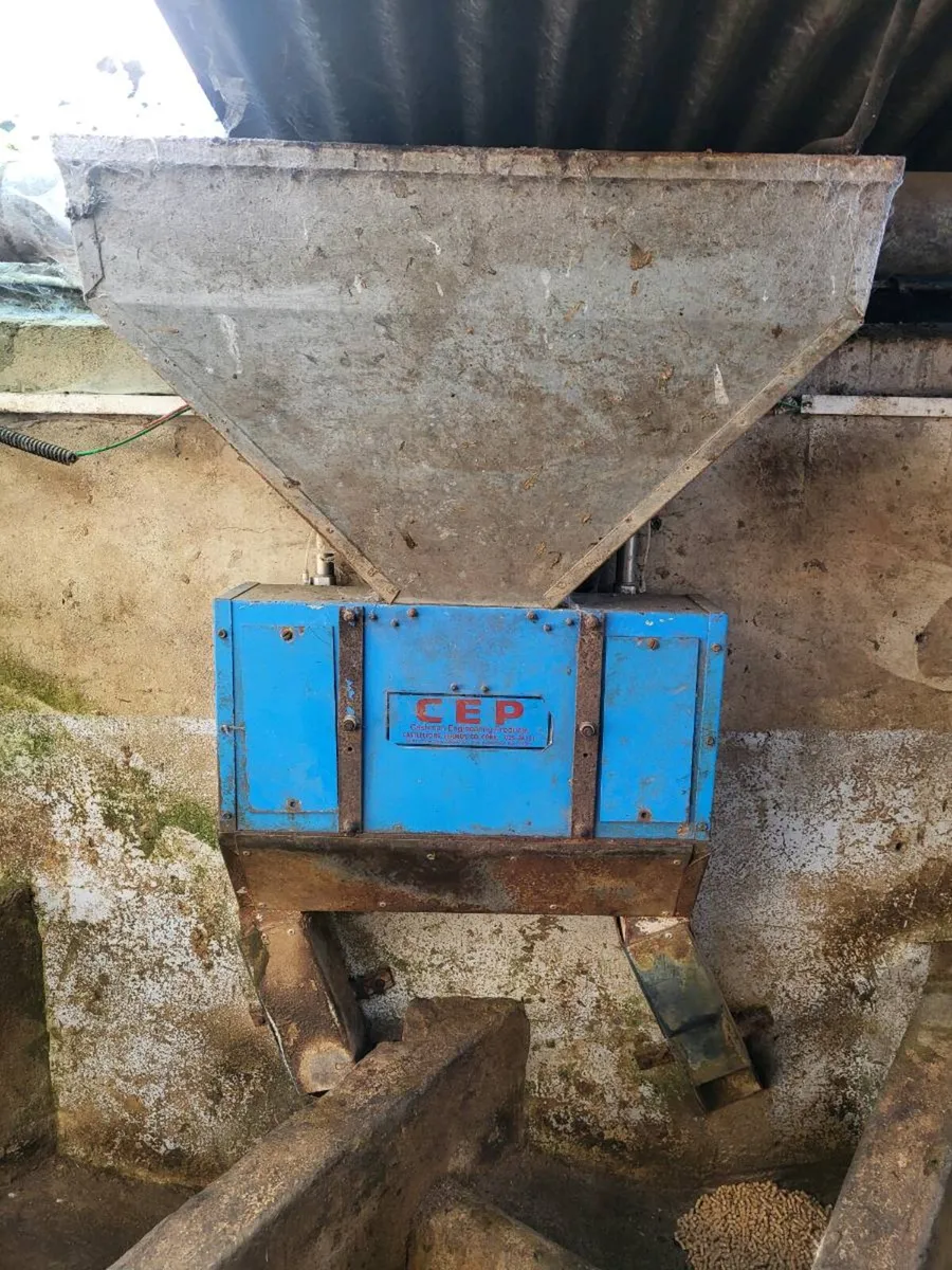 Cashman Air Feeders - Image 2