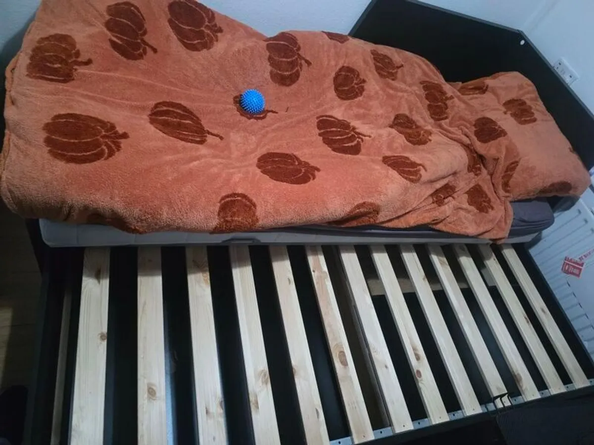 bed - Image 1