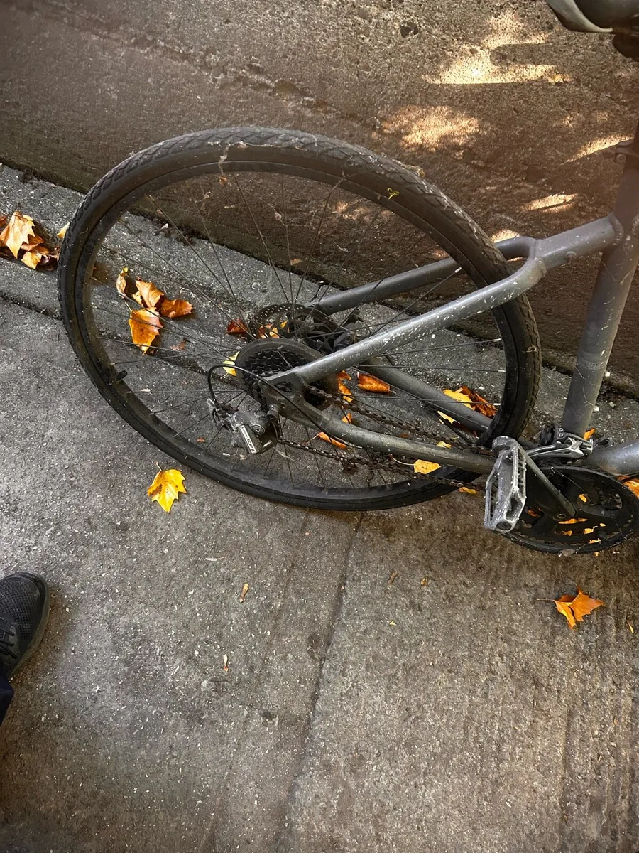 Man’s giant push bike - Image 2