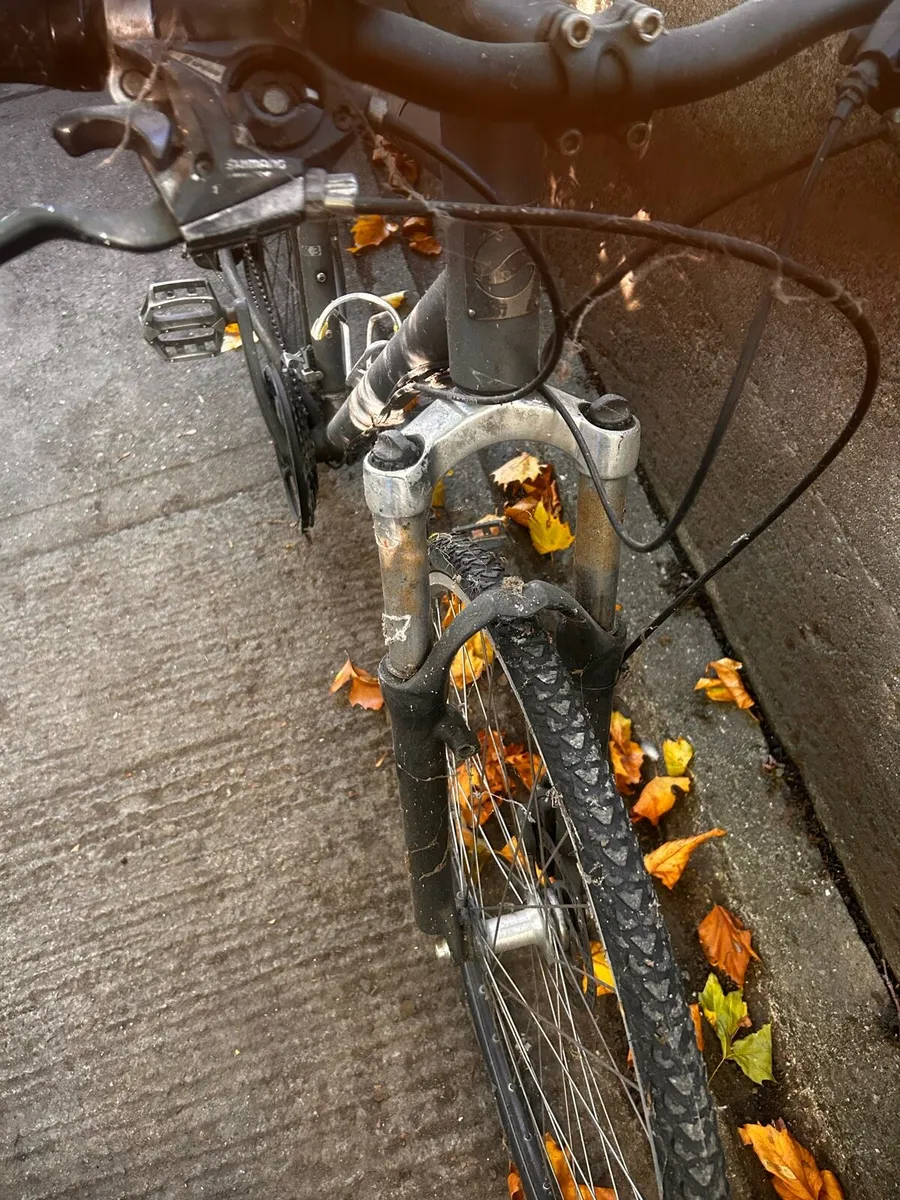 Man’s giant push bike - Image 3