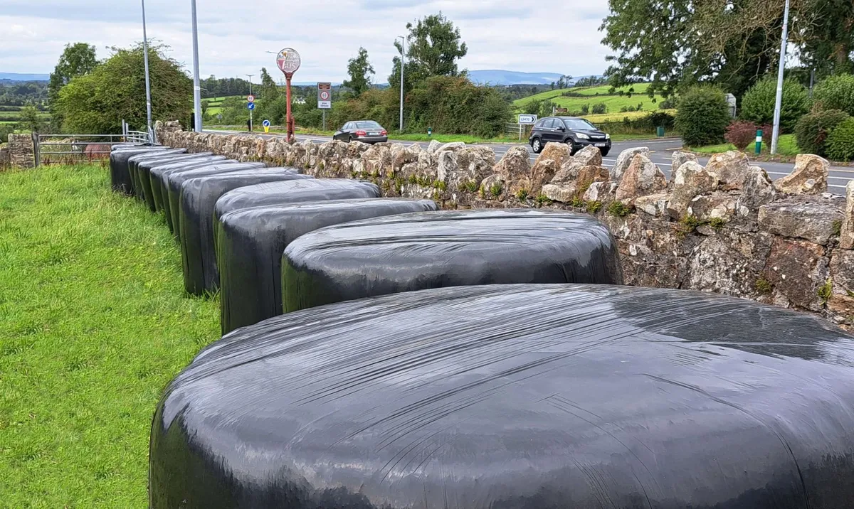17 Silage Bales remaining for quick sale - Image 1