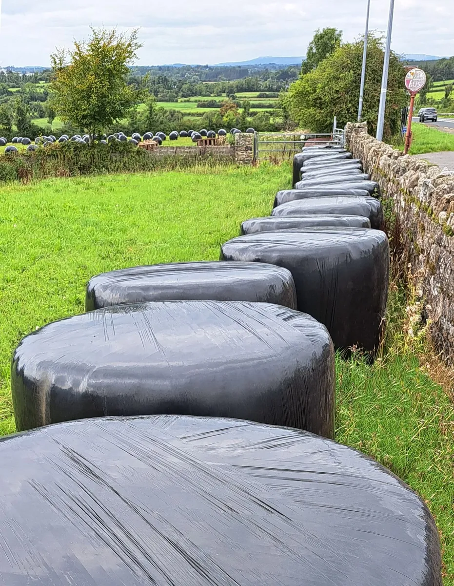 17 Silage Bales remaining for quick sale - Image 2