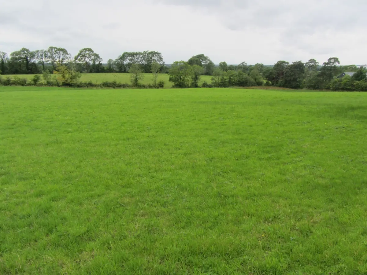 17 Silage Bales remaining for quick sale - Image 4