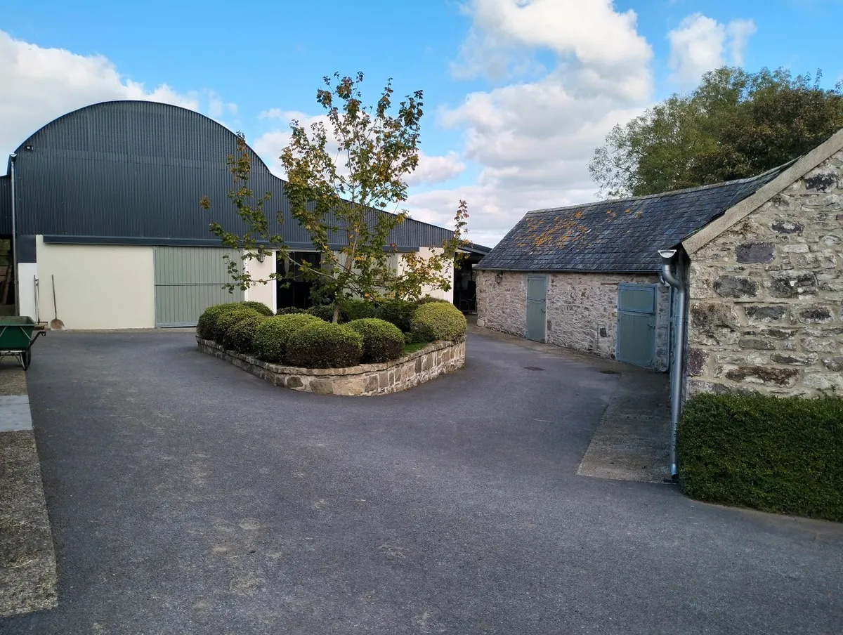 Rehabilitation, full livery breaking in Ballyhale. - Image 1
