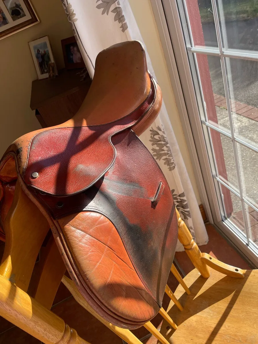 Saddle - Image 2