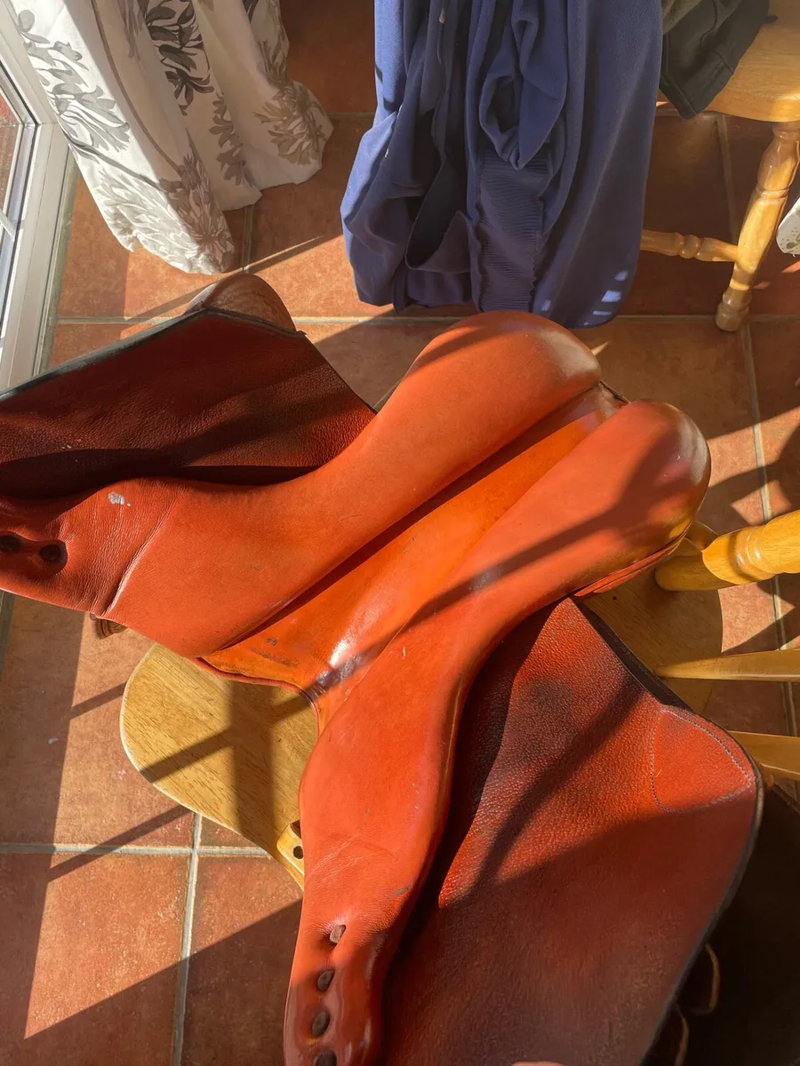 Saddle - Image 3